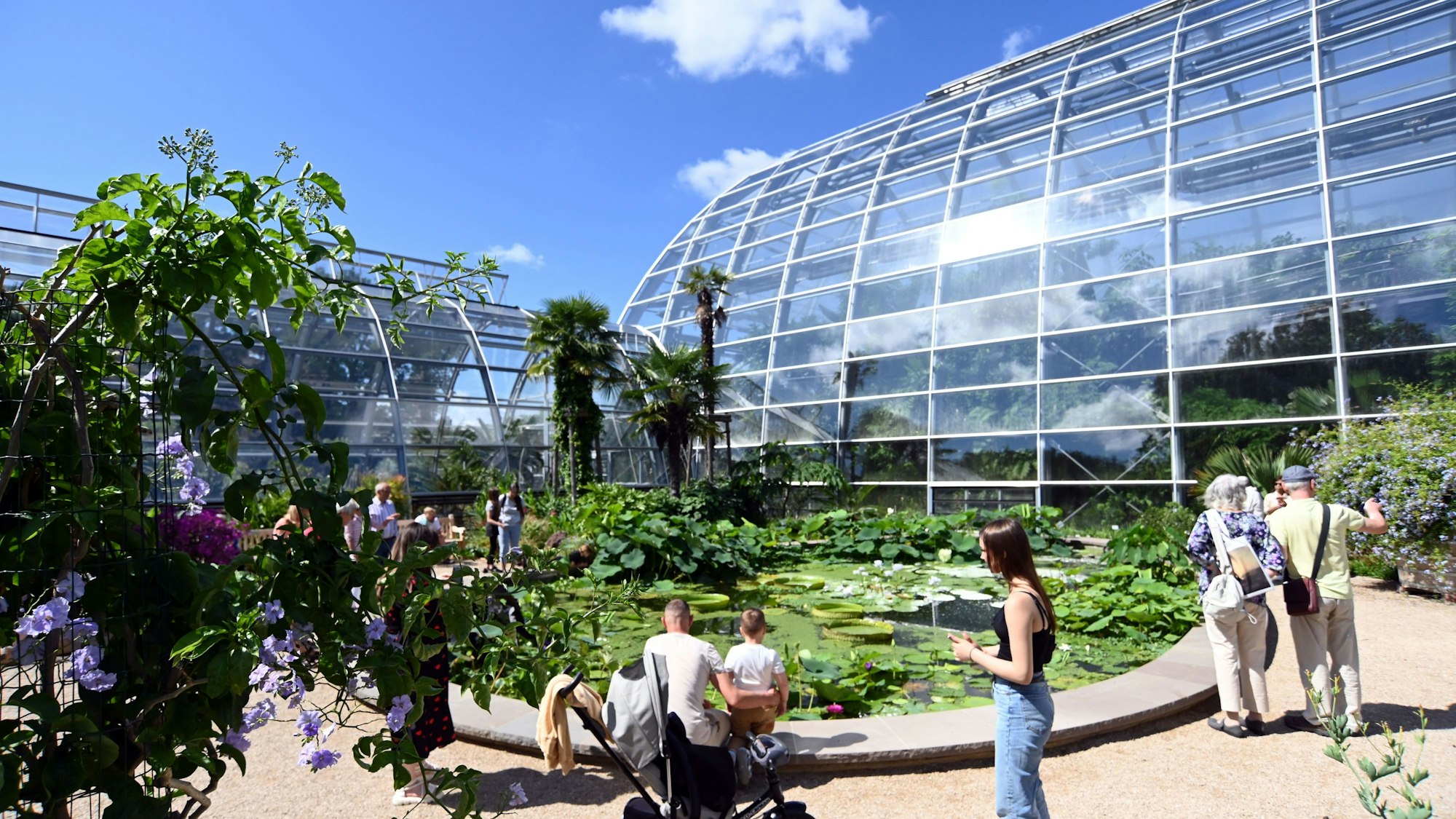 23.07.2025 Köln. Die neuen Schaugewächshäuser im Botanischen Garten sind erstmals ohne Bauzäune zu sehen. Foto: Alexander Schwaiger