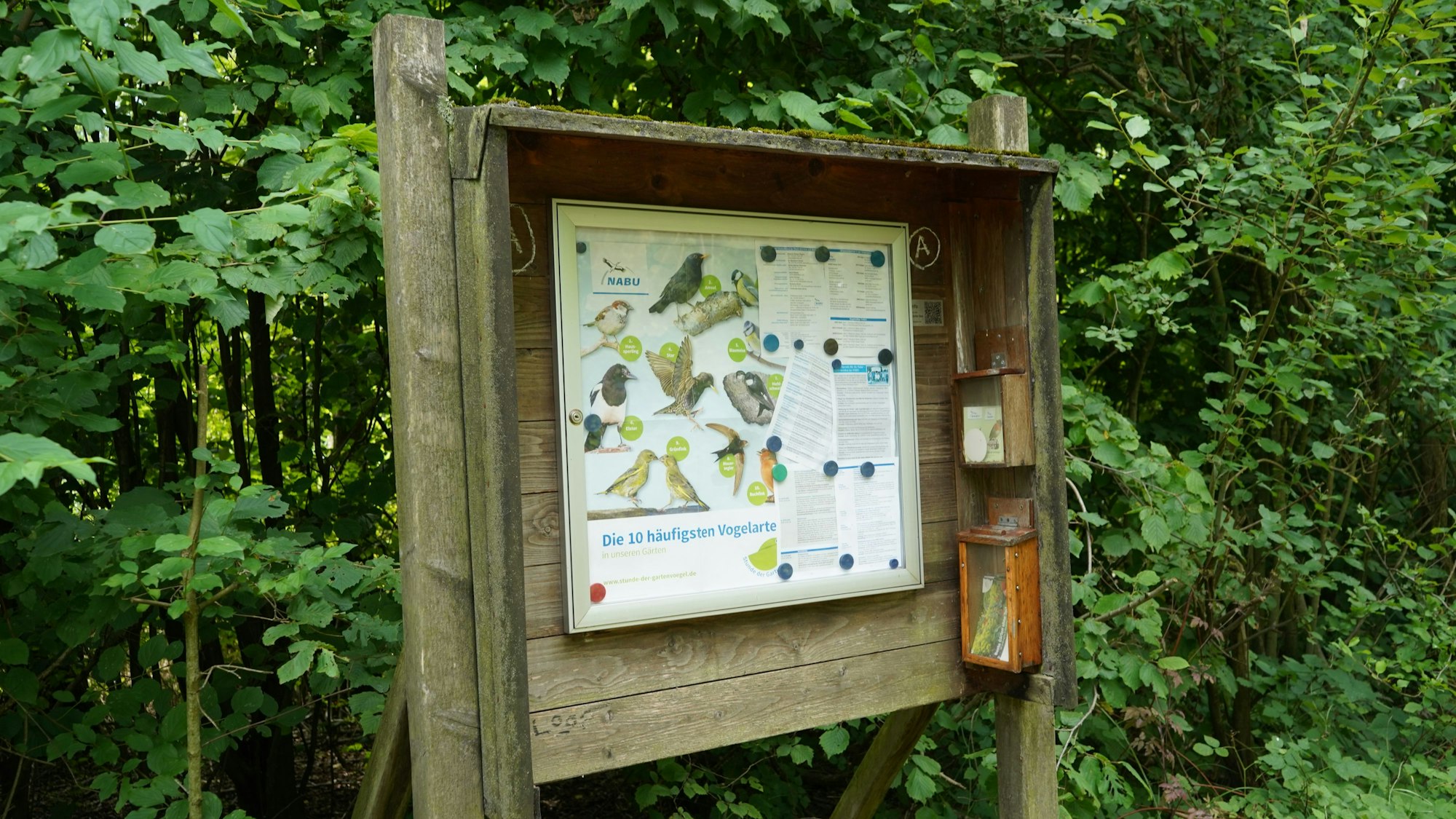 Das Foto zeigt eine Infotafel über Vögel.