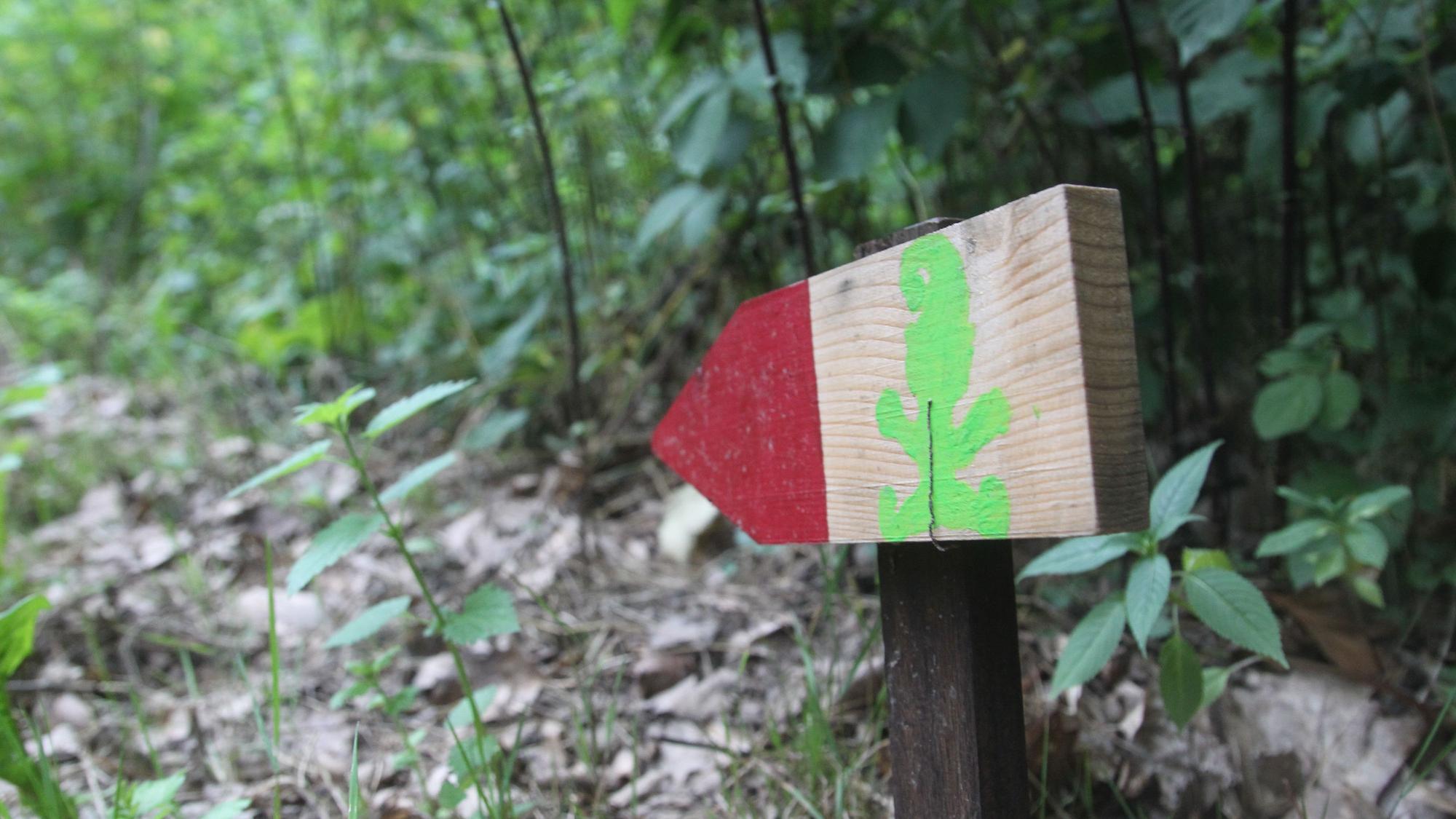 Diese Markierungen zeigen den Weg durch den Wichtelwald.