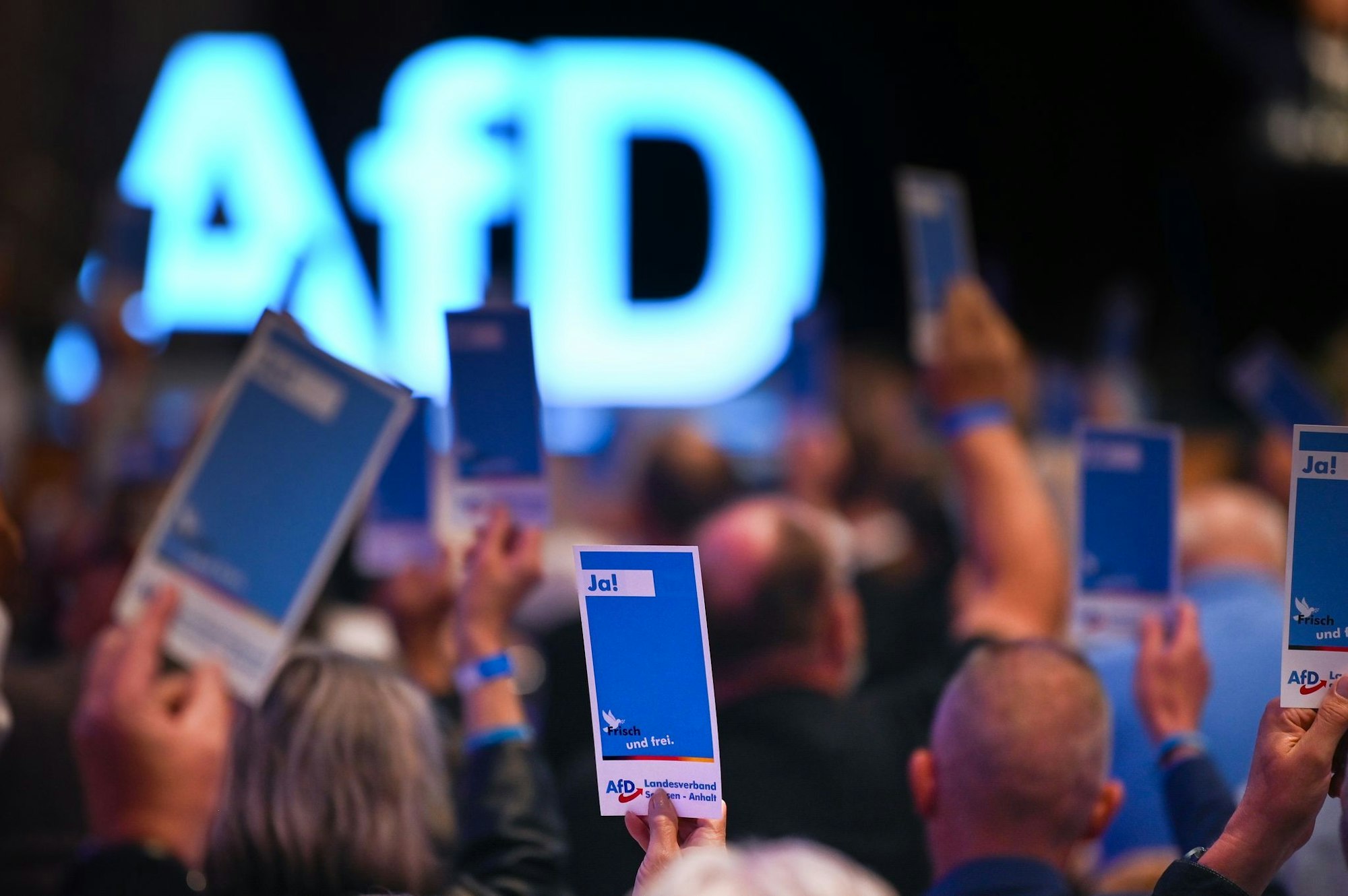 Die AfD will ihre neue Jugendorganisation stärker an sich binden. (Archivbild)