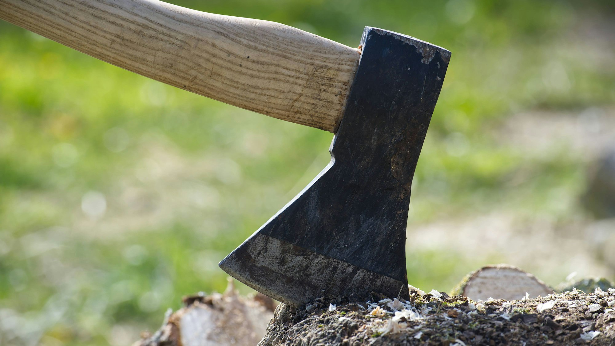 Eine Axt im Wald.