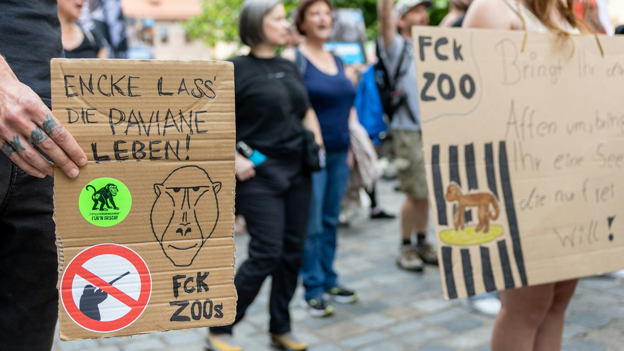 Kritik an Zootier-Tötungen wächst: Nürnberg plant Pavian-Tötung aus Platzmangel, Proteste formieren sich.
