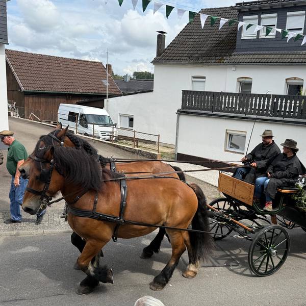 Eine Gruppe von Frauen sorgt in Marienheide-Müllenbach seit vielen Jahren mit ordentlich Herzblut dafür, dass auch die Kutsche des Königspaares festlich geschmückt ist.