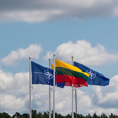 Flaggen der NATO-Mitgliedsländer wehen im Wind vor dem Veranstaltungsort des NATO-Gipfels in Vilnius. (Archivbild)