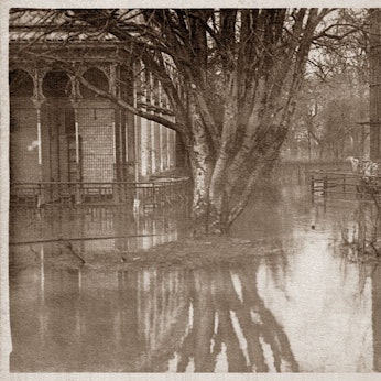 Auch 1920 war der Zoo von Hochwasser betroffen. Der Bärenzwinger blieb verschont, das Gelände ringsum stand jedoch unter Wasser.