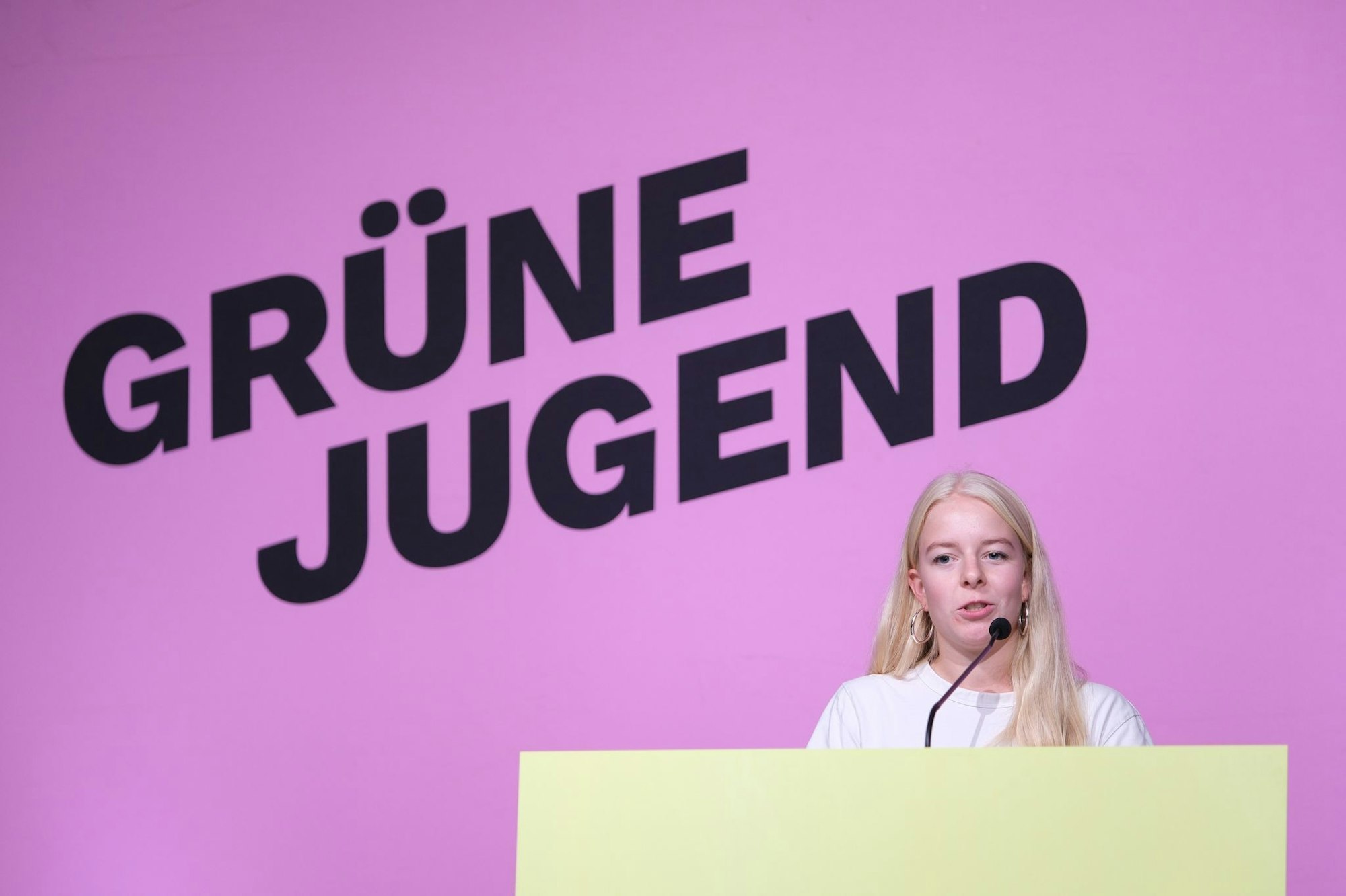 Nach immer neuen Reibereien zwischen Nietzard und den Grünen zieht sie Konsequenzen. (Archivbild)