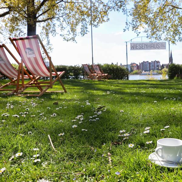 Das Café Uferglück befindet sich im Wiesenhaus, ein Gelände für Camping und Tiny Houses. Zu sehen ist die Wiese mit Liegestühlen und Blick auf den Rhein.
