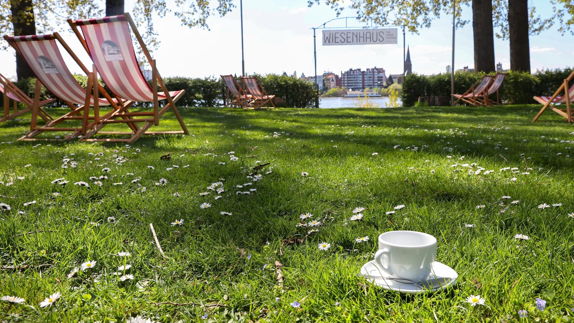 Das Café Uferglück befindet sich im Wiesenhaus, ein Gelände für Camping und Tiny Houses. Zu sehen ist die Wiese mit Liegestühlen und Blick auf den Rhein.