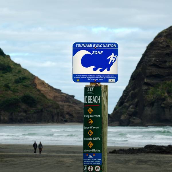 Ein Tsunami-Evakuierungsschild im neuseeländischen Piha.