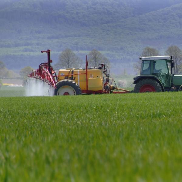 Auf einem Acker in Goeddeckenrode im Landkreis Harz am Nordharz im Bundesland Sachsen-Anhalt bringt ein Landwirt mit Hilfe einer Ackerspritze Pflanzenschutz gegen Schaedlinge auf Winterweizen aus. Pflanzenschutz wird auf Winterweizen ausgebracht.