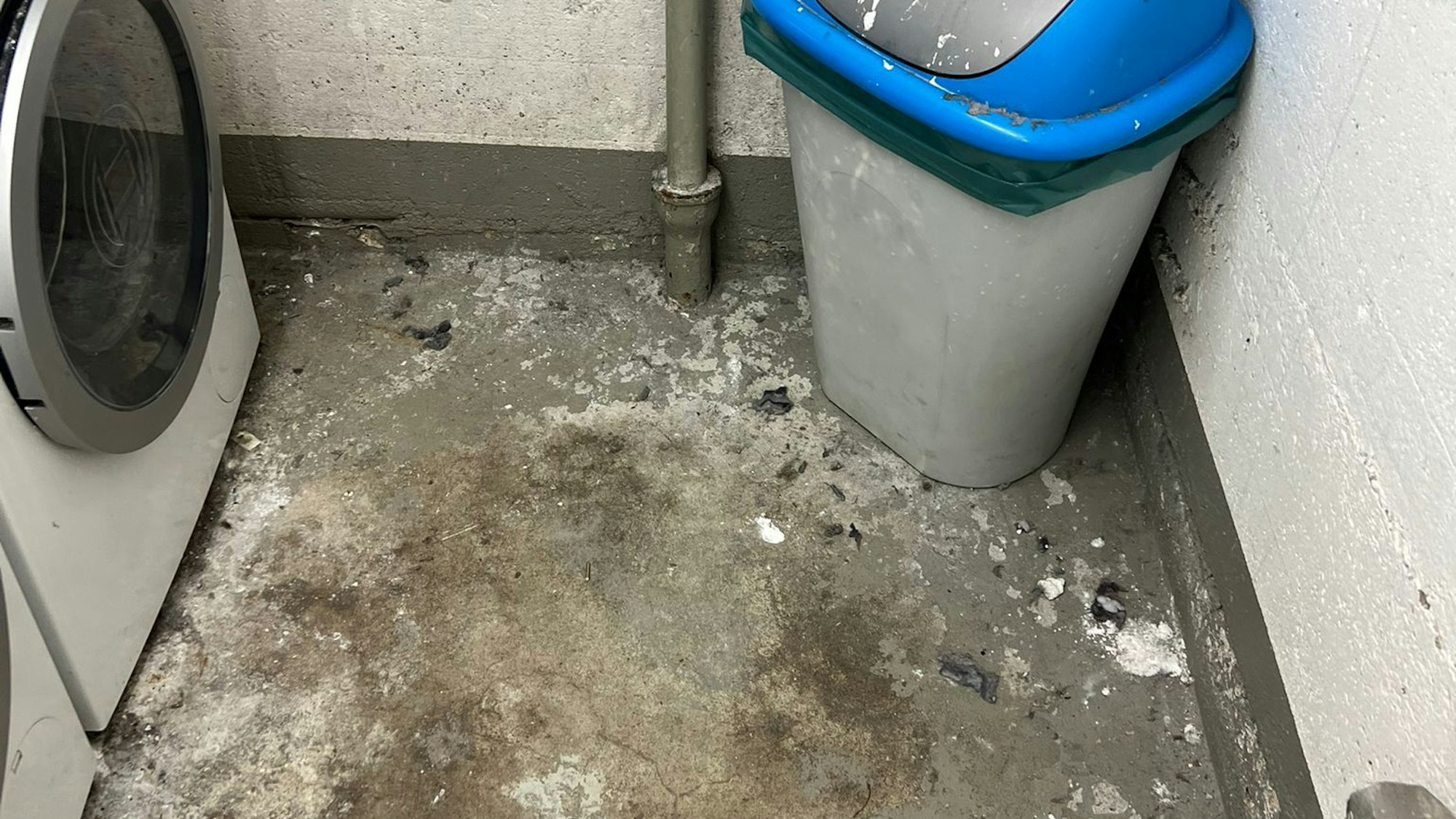 Auch die Hygiene in den Waschräumen sei mangelhaft, befinden die Studierende.