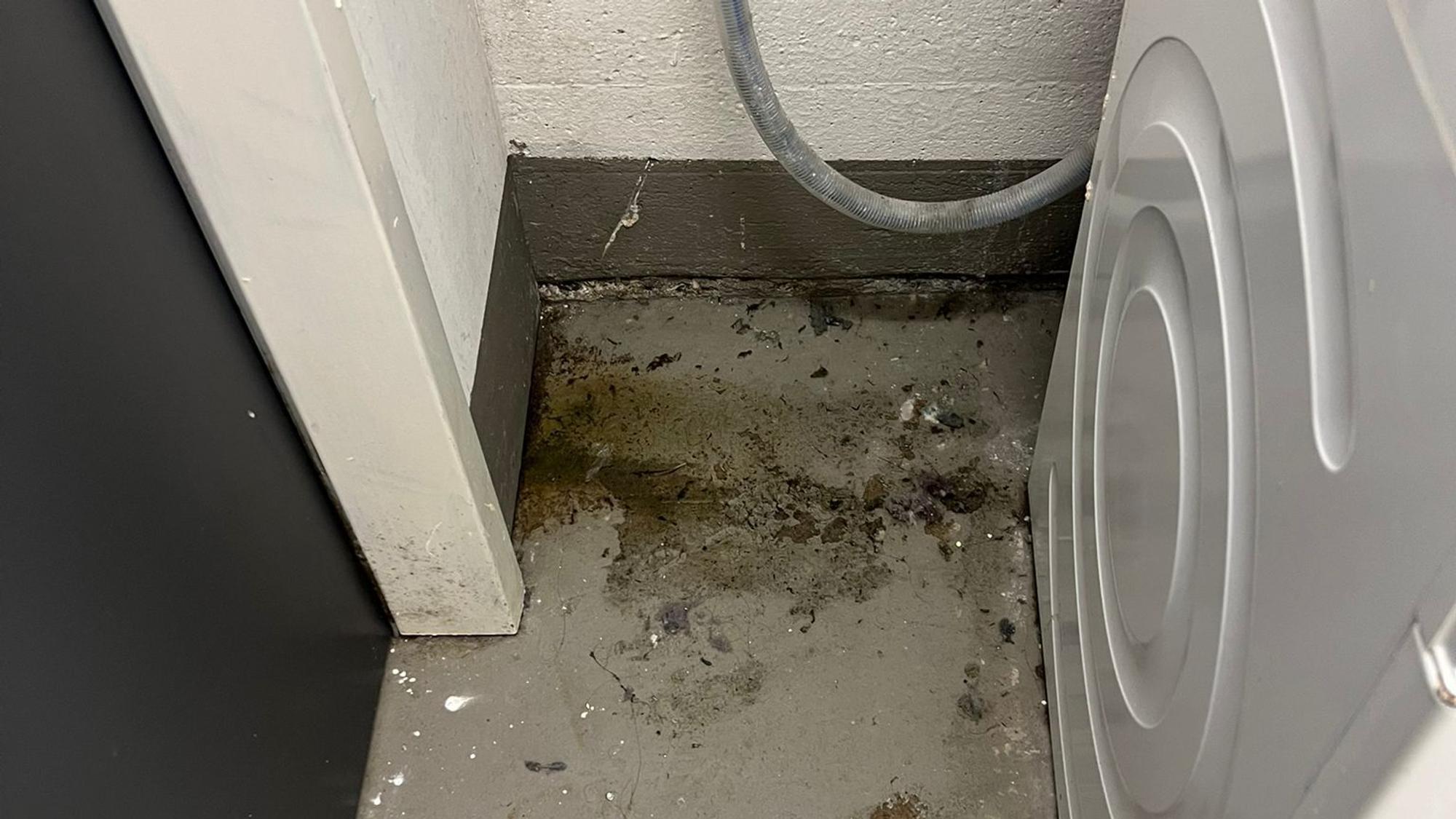 Studenten beschreiben die Zustände des Wohnheims als frustrierend.