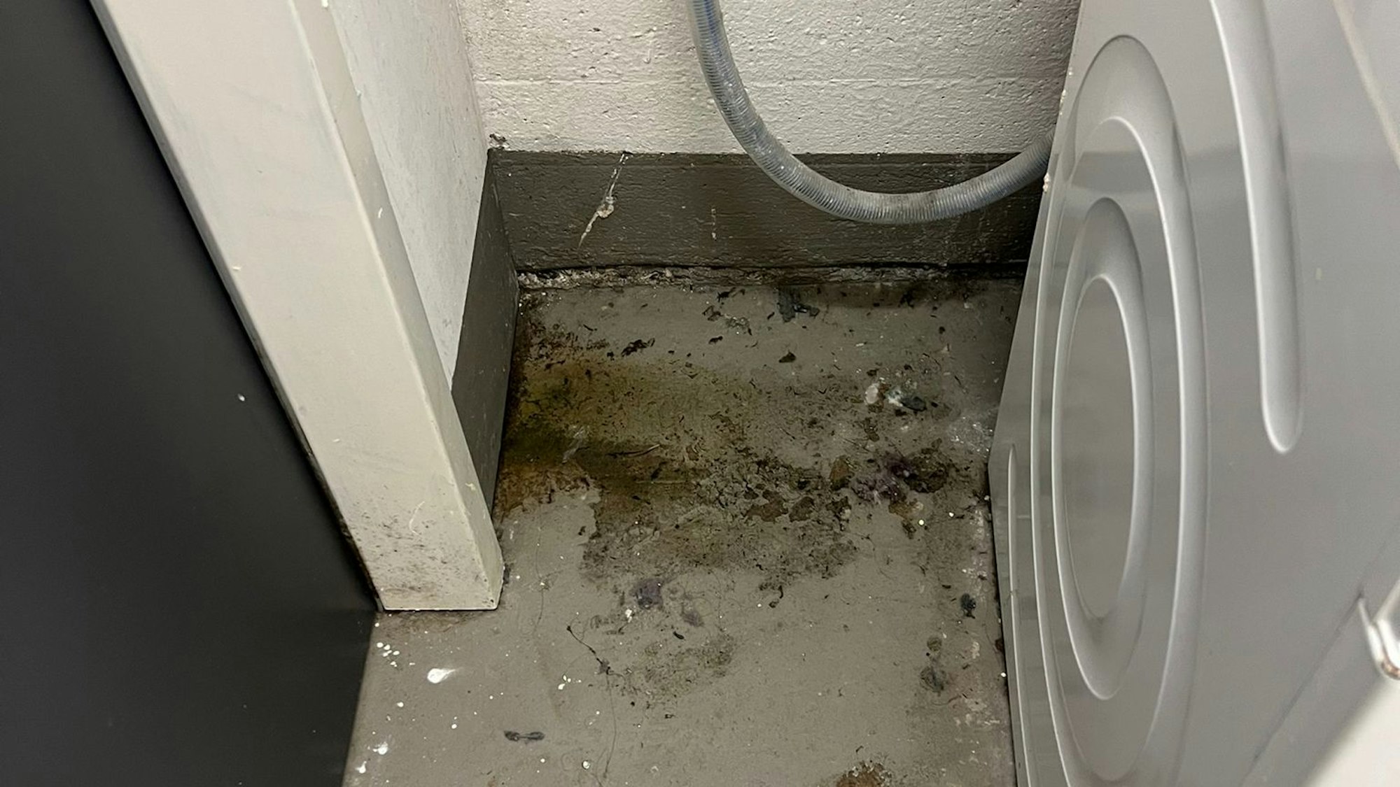 Studenten beschreiben die Zustände des Wohnheims als frustrierend.