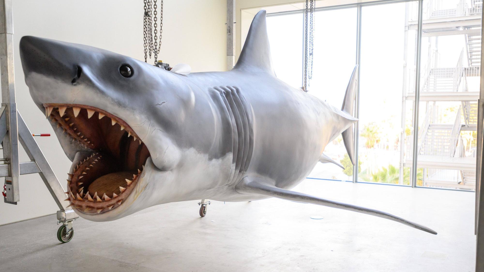 Bruce im Academy Museum of Motion Pictures in Los Angeles.