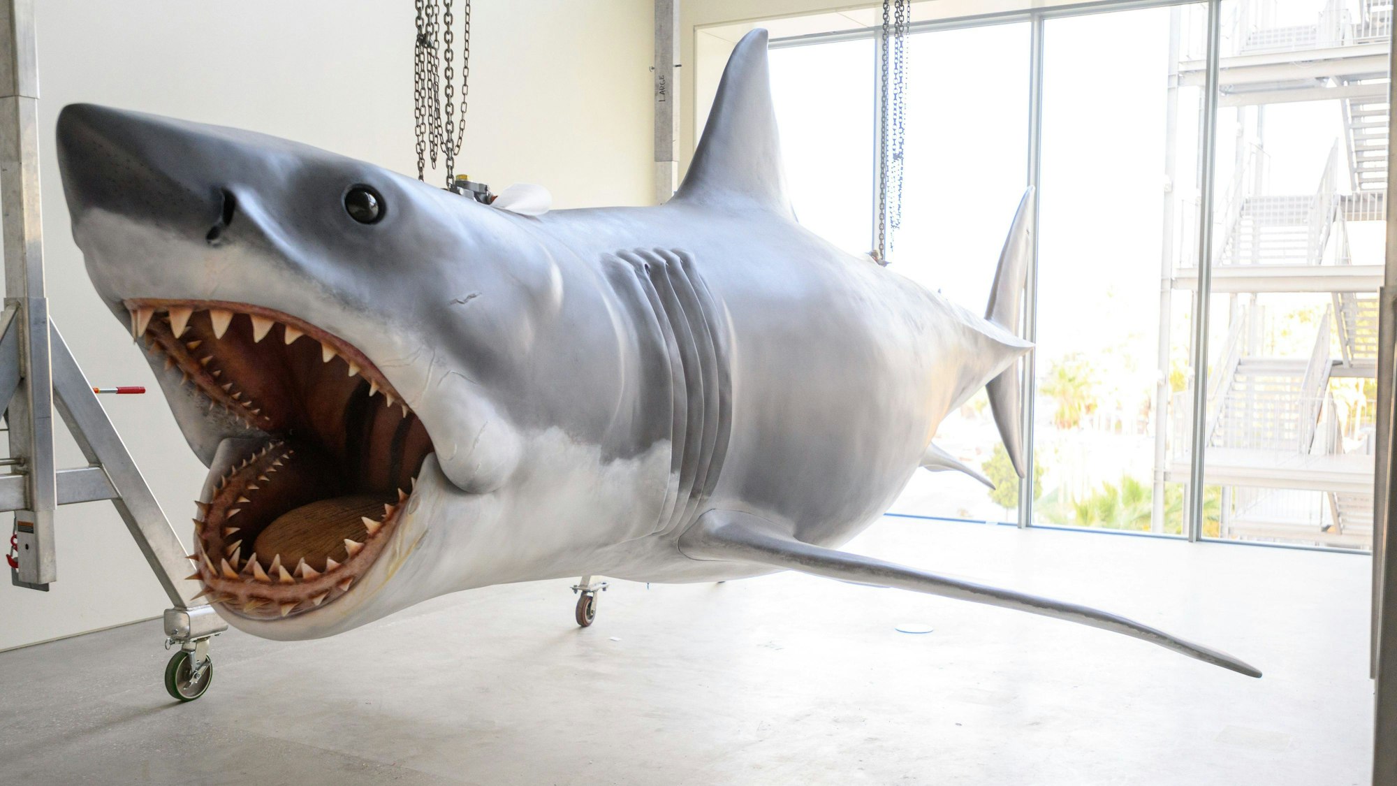 Bruce im Academy Museum of Motion Pictures in Los Angeles.