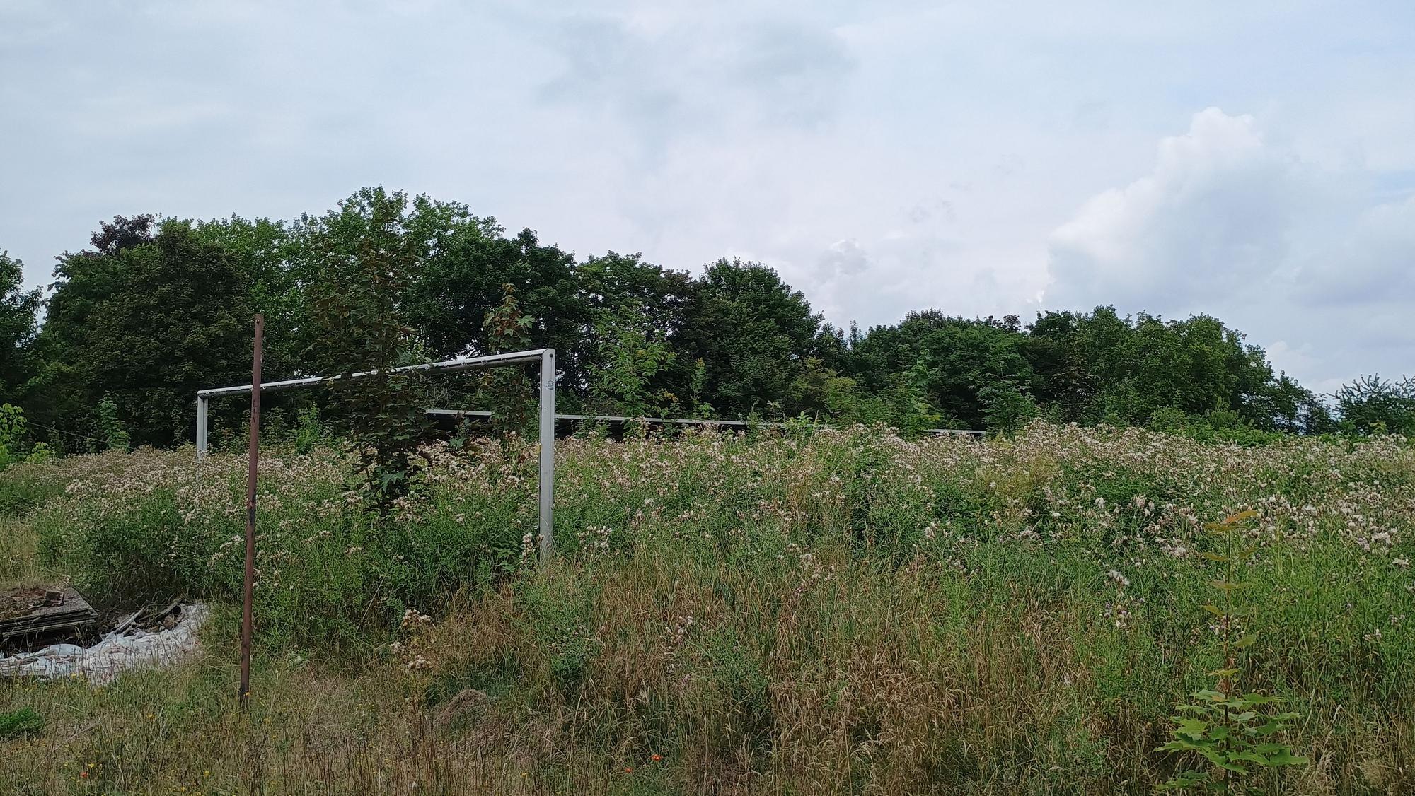 Vor dem Tor wächst das Unkraut meterhoch, der ganze Sportplatz ist überwuchert.