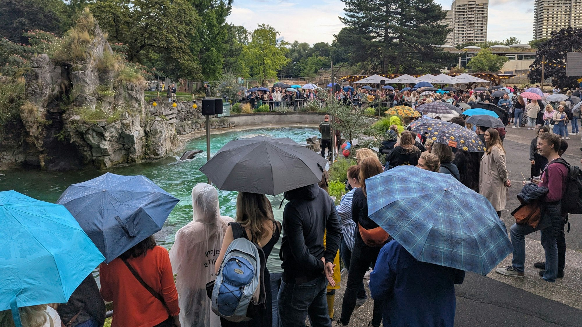 Menschen mit Regenschirmen stehen vor einem Tiergehege.