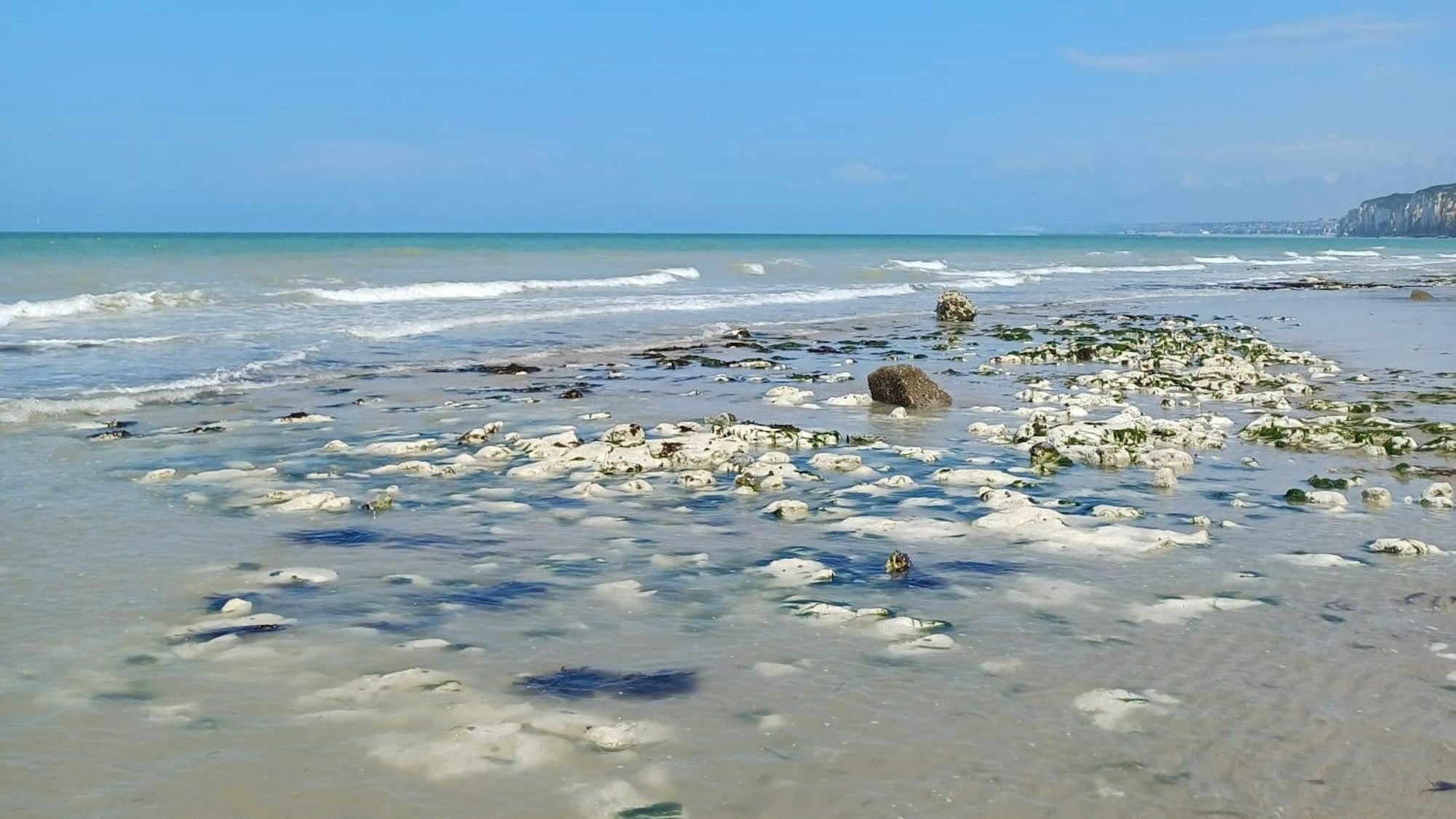 Strand und Meer an der französischen Küste, wo der giftige Fisch auch heimisch ist.
