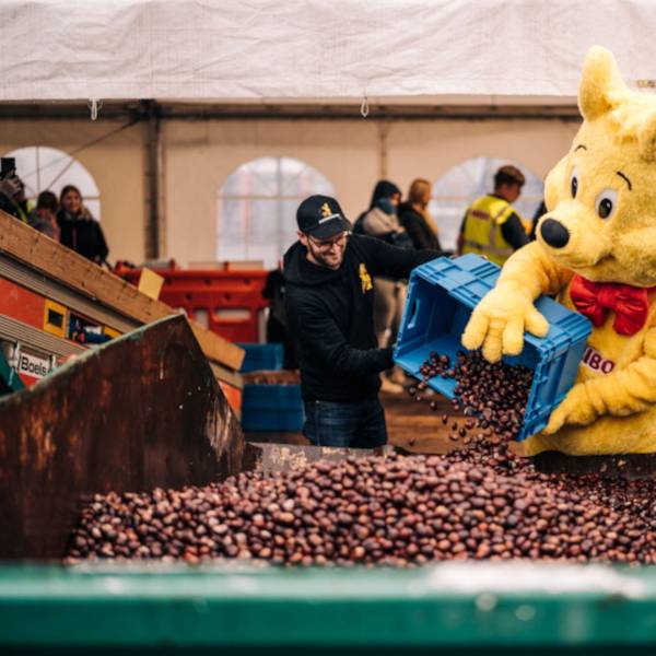 Der Haribo-Goldbär hilft bei der Kastanien-Aktion 2022. Für 2025 musste das Unternehmen die beliebte Aktion leider absagen.