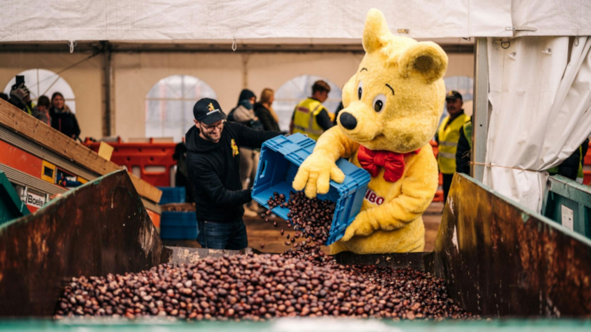 Der Haribo-Goldbär hilft bei der Kastanien-Aktion 2022. Für 2025 musste das Unternehmen die beliebte Aktion leider absagen.