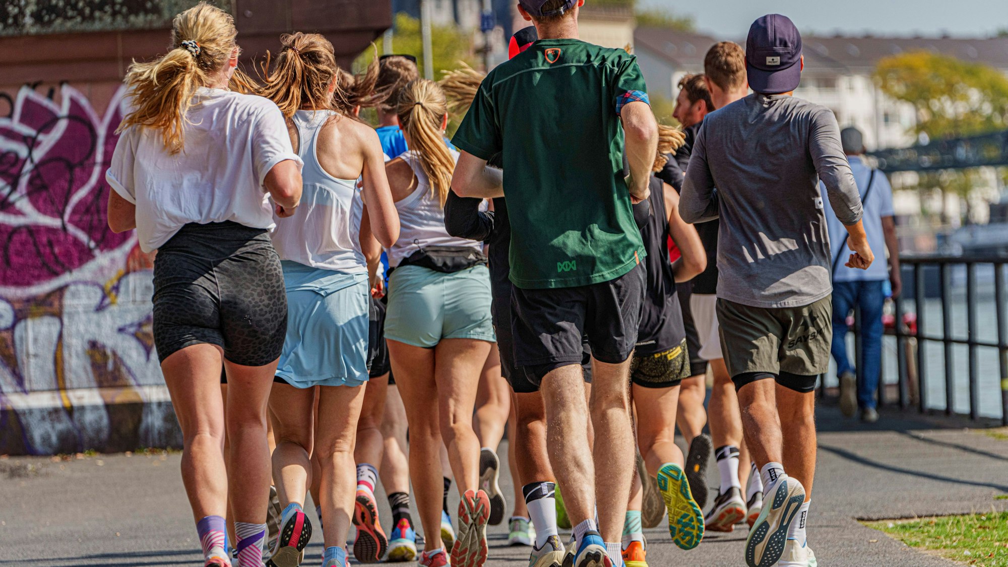 Symbolbild, Laufgruppe am Mainufer, bei sonnigem Wetter, von hinten fotografiert