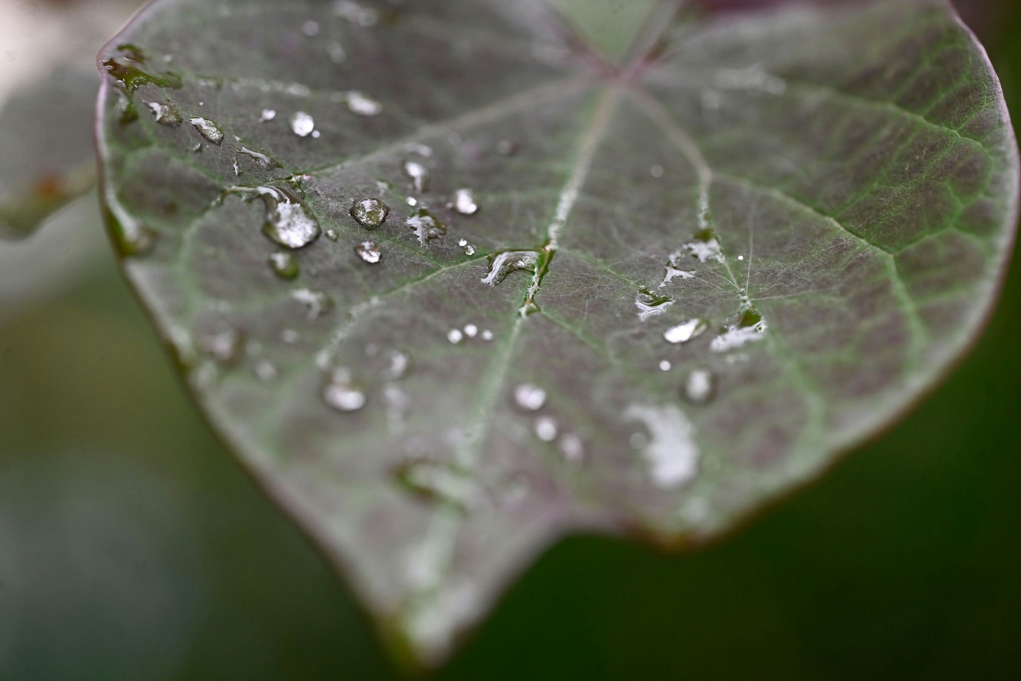 Wenig sommerliches Wetter in NRW. (Archivbild)