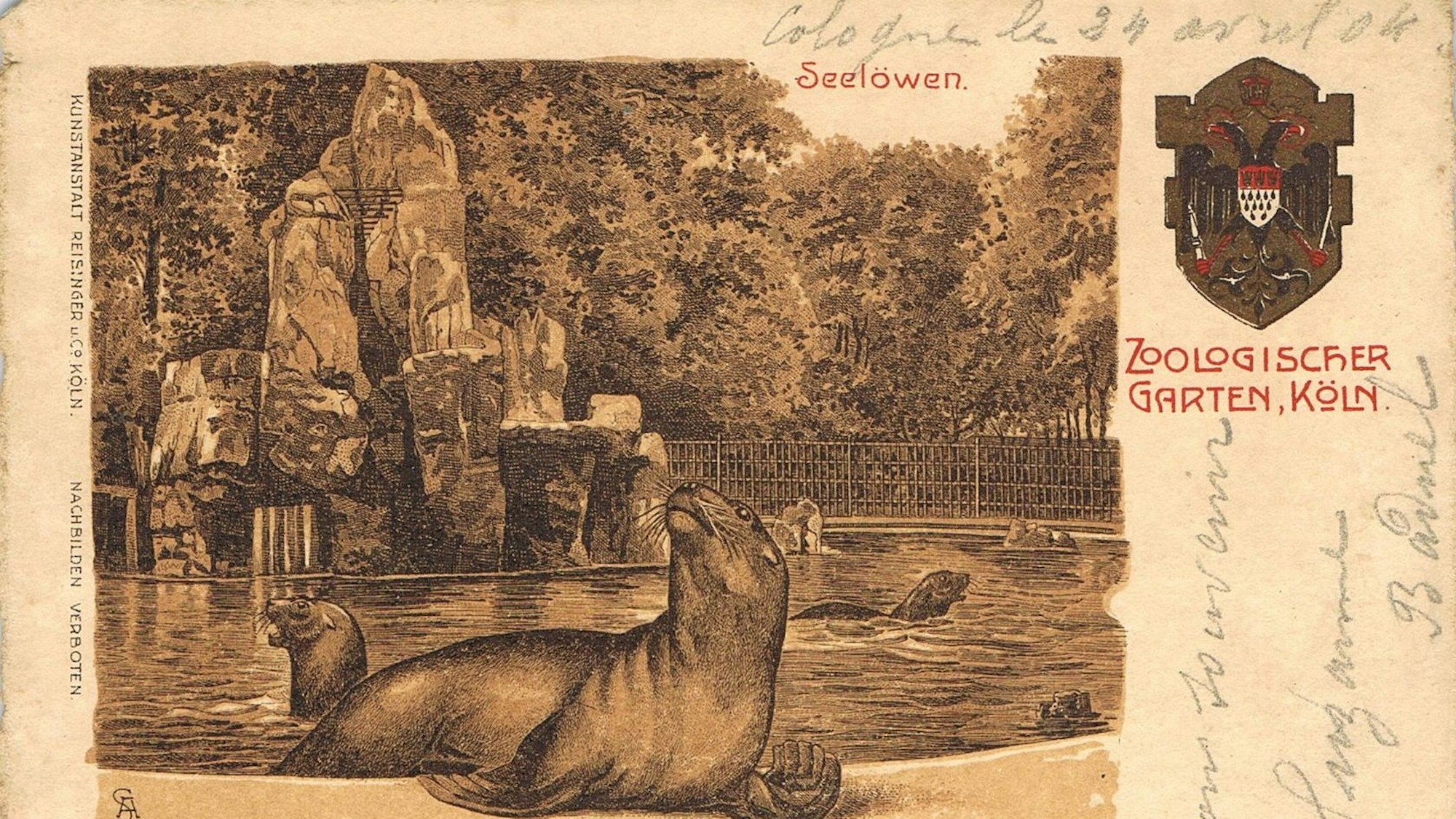 Der Seelöwenfelsen wurde ab 1887 schnell zum Publikumsrenner. Die Ansichtskarte wurde vor 1905 nach Paris geschickt.