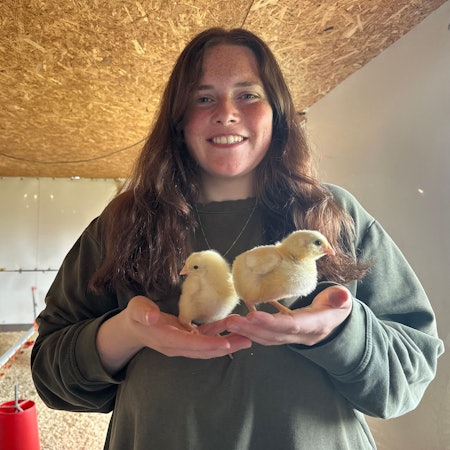 Anna Telohe (26) ist in den elterlichen Betrieb eingestiegen, hier mit zwei jungen Masthähnchen auf dem Geflügelhof Wirtz.