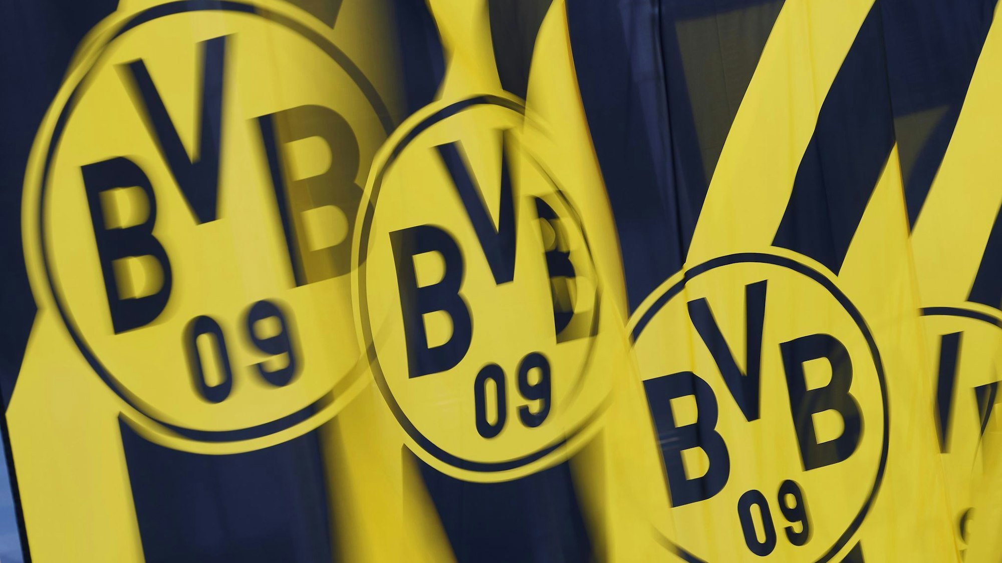 Der BVB geht juristisch gegen Wahlwerbung der AfD vor (Illustration)