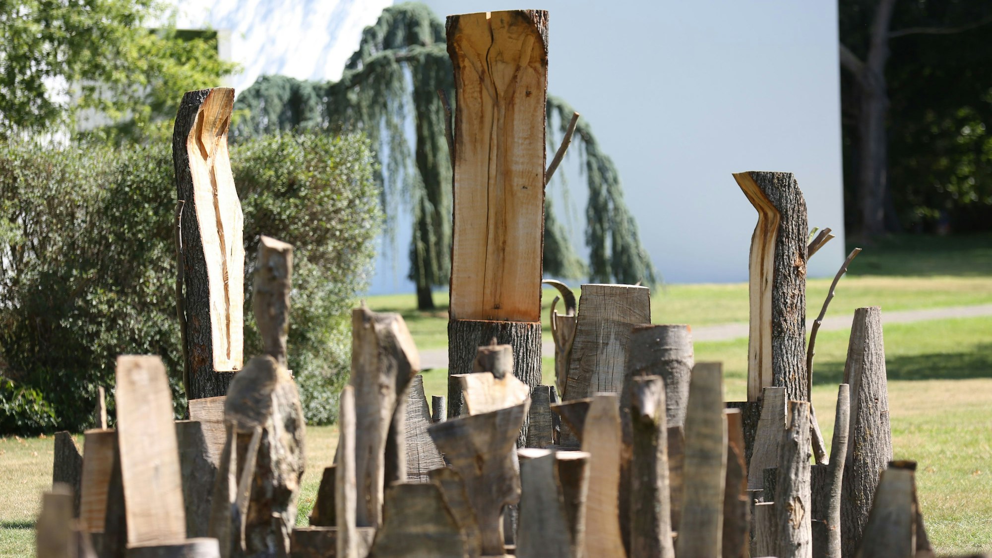 30.07.2020
Köln: Ausstellung im Skulpturenpark.