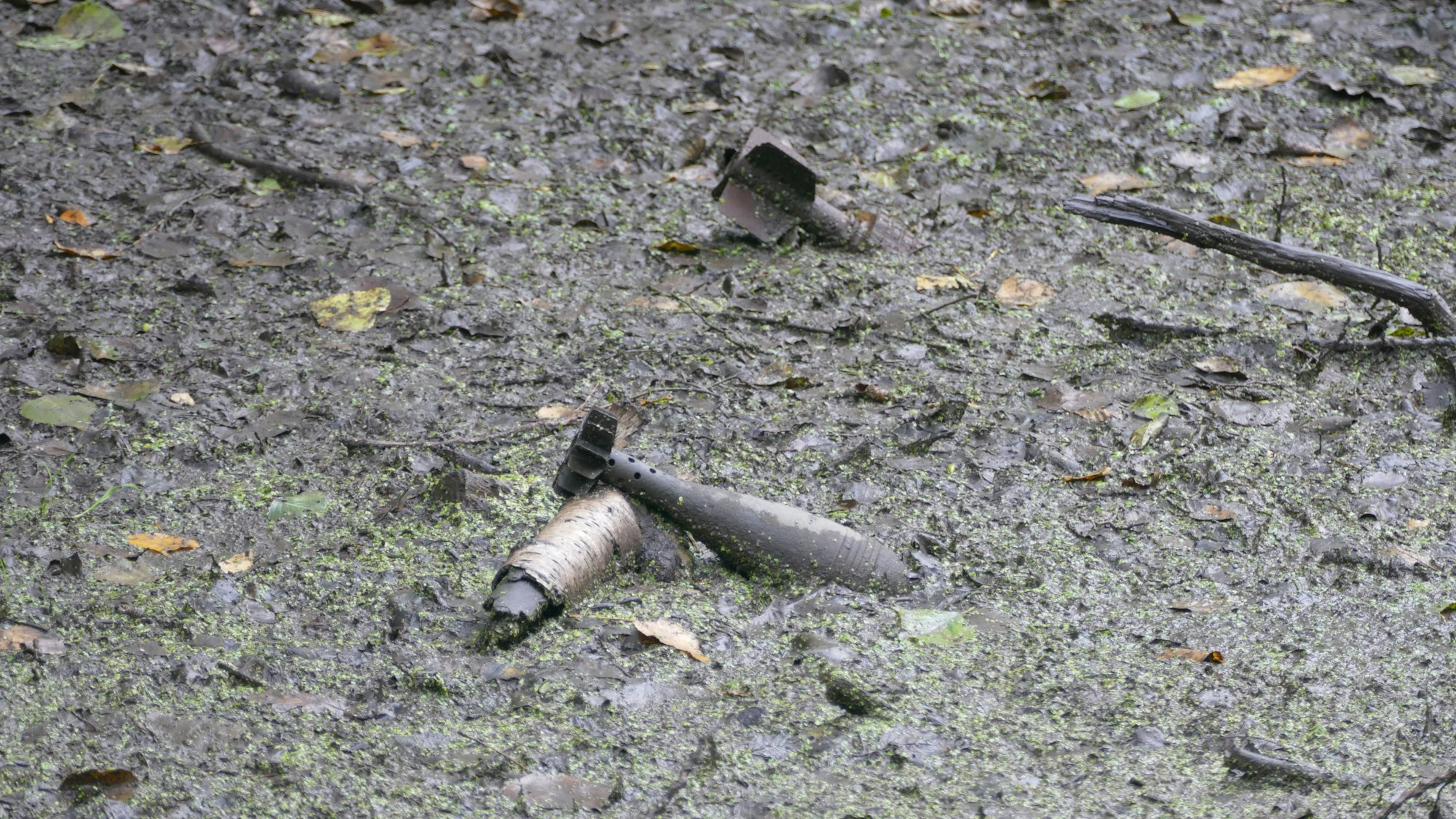 Mindestens zwei Granaten stecken im Morast des Sees in Sankt Augustin.