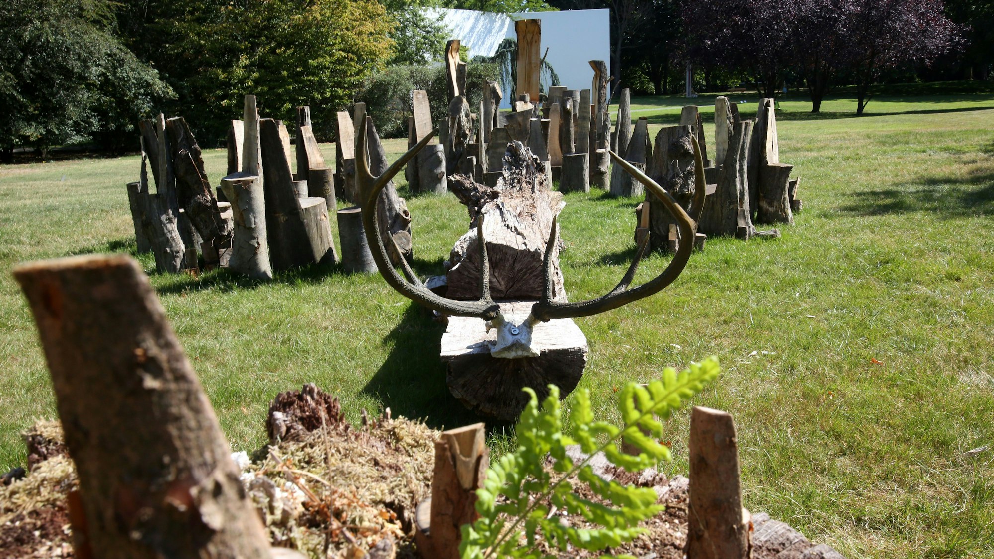 30.07.2020
Köln: Ausstellung im Skulpturenpark.