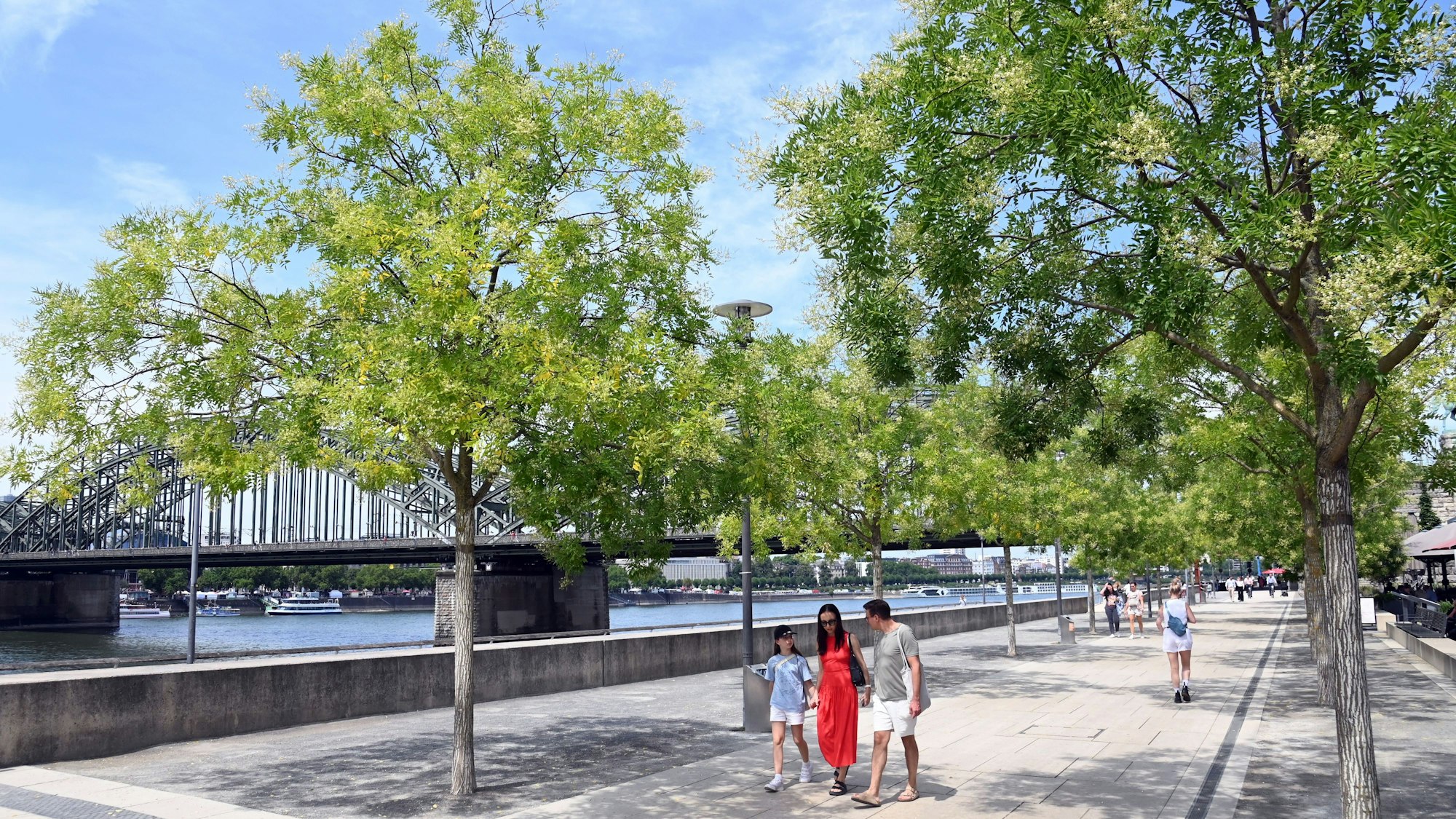 17.08.2025 Köln. Wetter. Sommer 2025. Sonnenschein am Rheinboulevard. Foto: Alexander Schwaiger