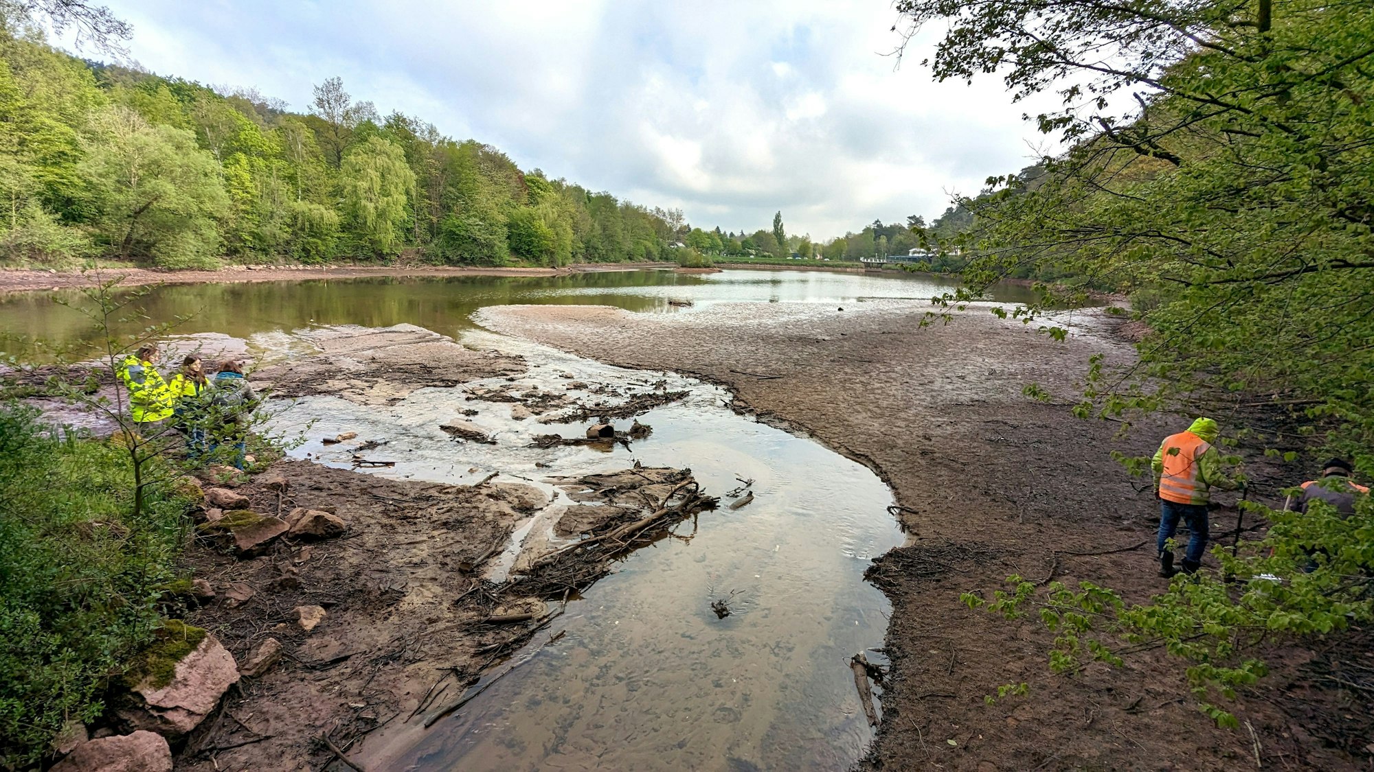 Der 2024 abgesenkte Mühlensee. Ein Großteil des Wassers ist verschwunden.