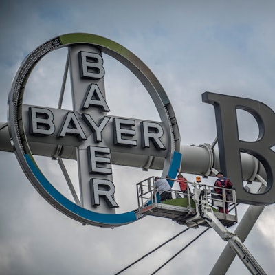 Bayerkreuz wird ausgewechselt zur Meisterschaft.