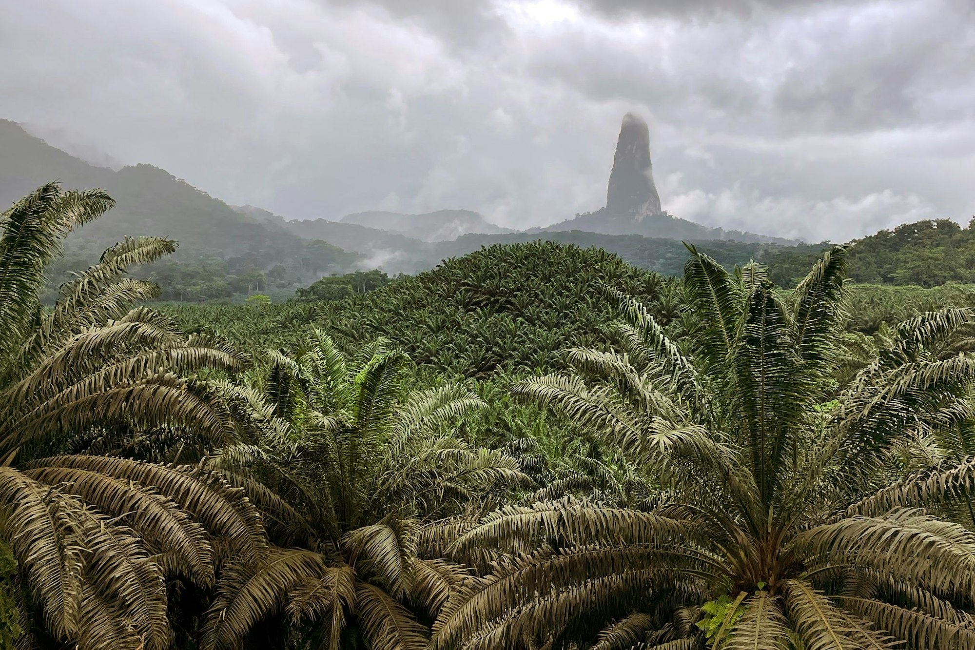 Der 663 Meter hohe Monolithberg Pico Cão Grande ragt im Süden von São Tomé einsam auf.