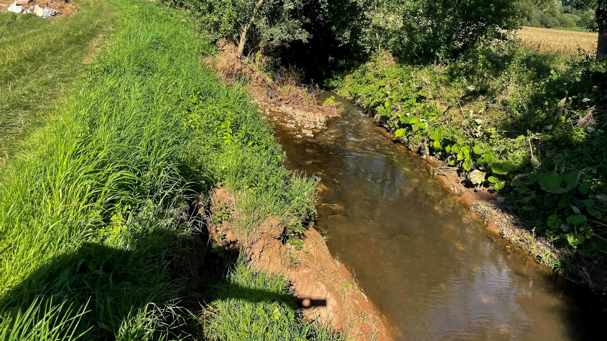 Das Bild zeigt den Rotbach bei Sinzenich.