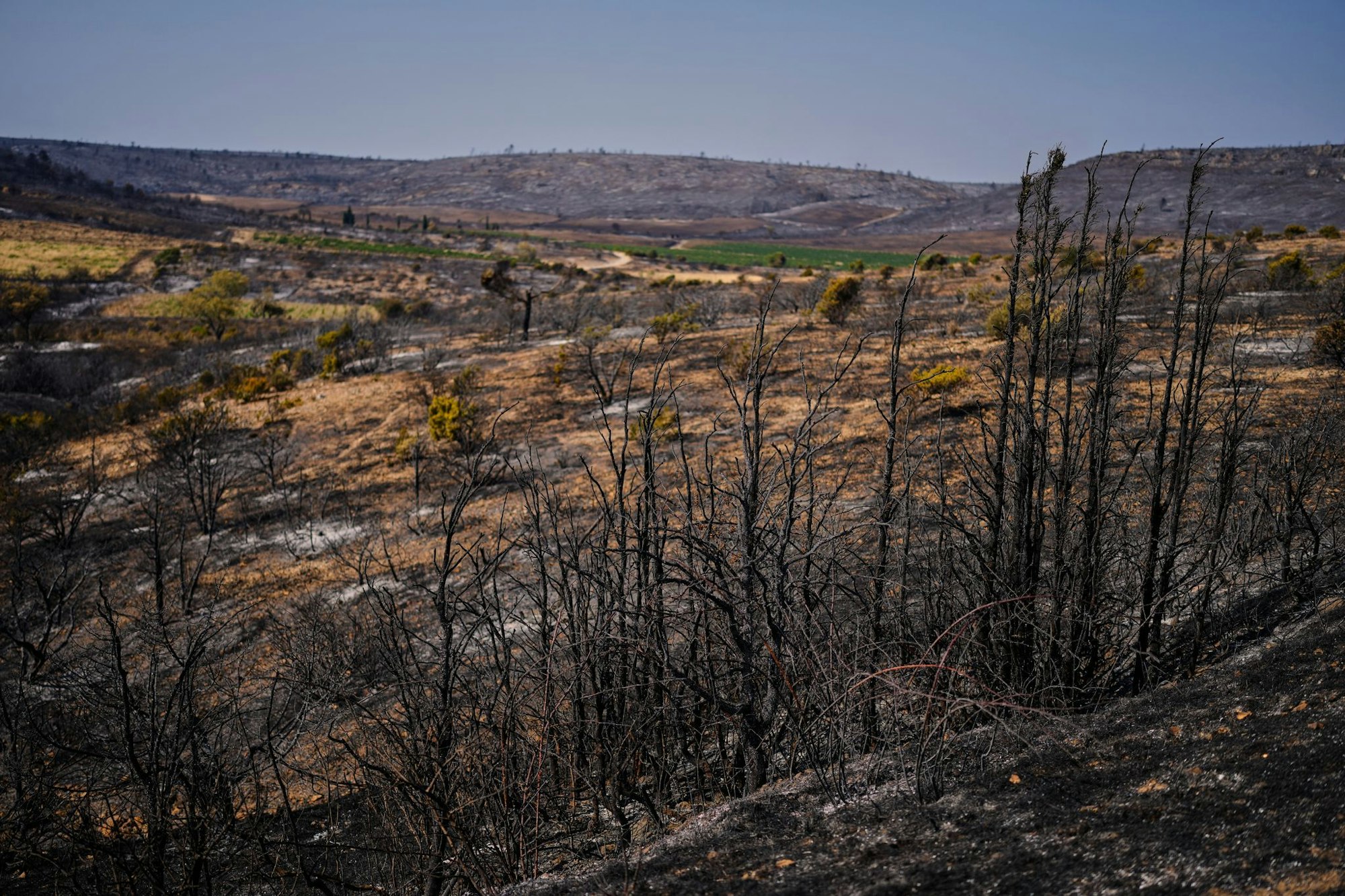 16.000 Hektar Fläche wurden von dem Waldbrand in Südfrankreich in Mitleidenschaft gezogen.