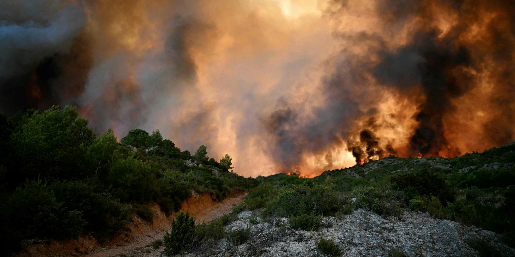 Ein Wald steht nahe Fontjoncouse, im Südwesten Frankreichs, in Flammen.