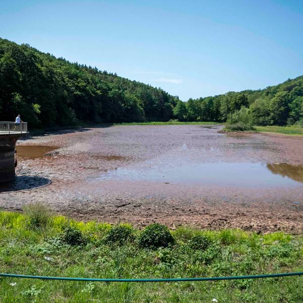 Das Bild zeigt den trockengelaufenen Mühlensee. Lediglich ein wenig Restwasser befindet sich noch darin.
