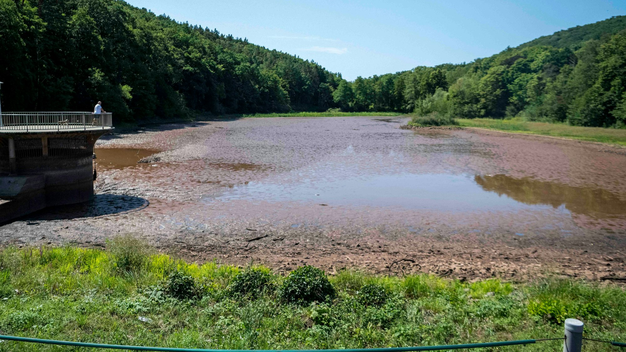 Das Bild zeigt den trockengelaufenen Mühlensee. Lediglich ein wenig Restwasser befindet sich noch darin.