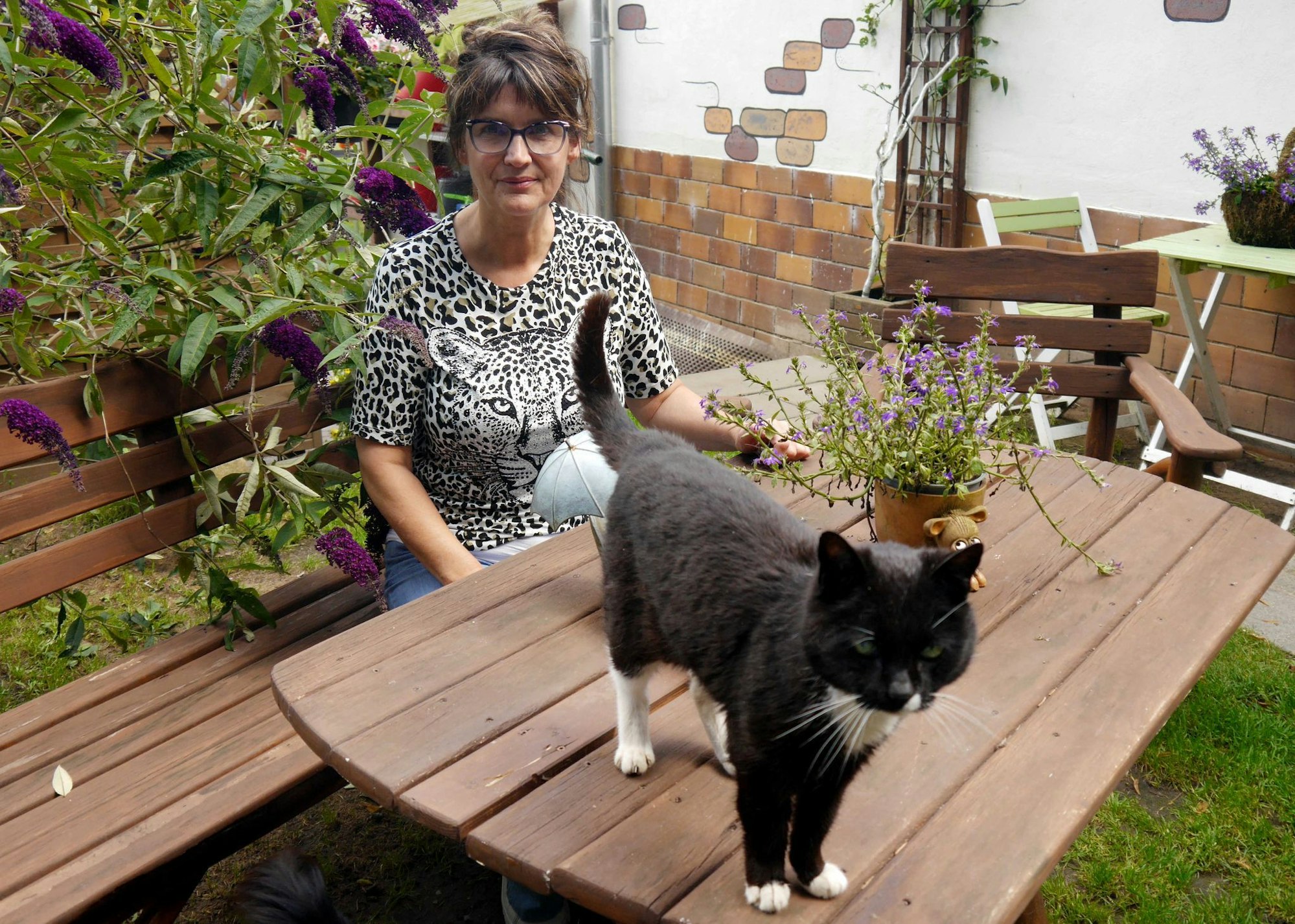 Manuela Jeschke hat das «Katzenparadies» privat gegründet.