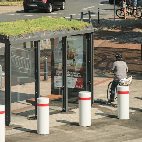 In der Innenstadt von Duisburg wurde am Mittwoch, 12. August 2020 eine Bushaltestelle mit Gras auf dem Dach vorgestellt. Weitere begrünte Bushäuschen sollen folgen. Foto: Stefan Arend / FUNKE Foto Services