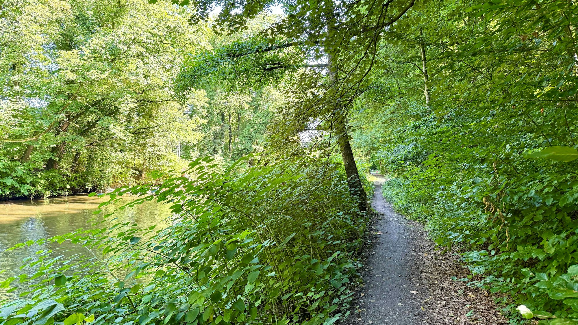 Der Lucasweg an der Wupper