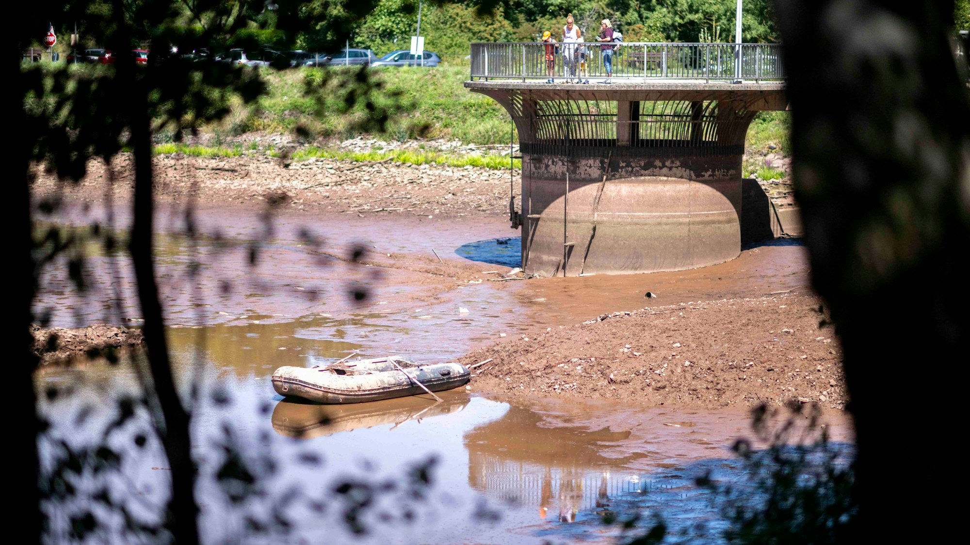 Das Bild zeigt den leeren Mühlensee. Auch ein Boot ist zu erkennen. Es wurde genutzt, um Fische zu retten.