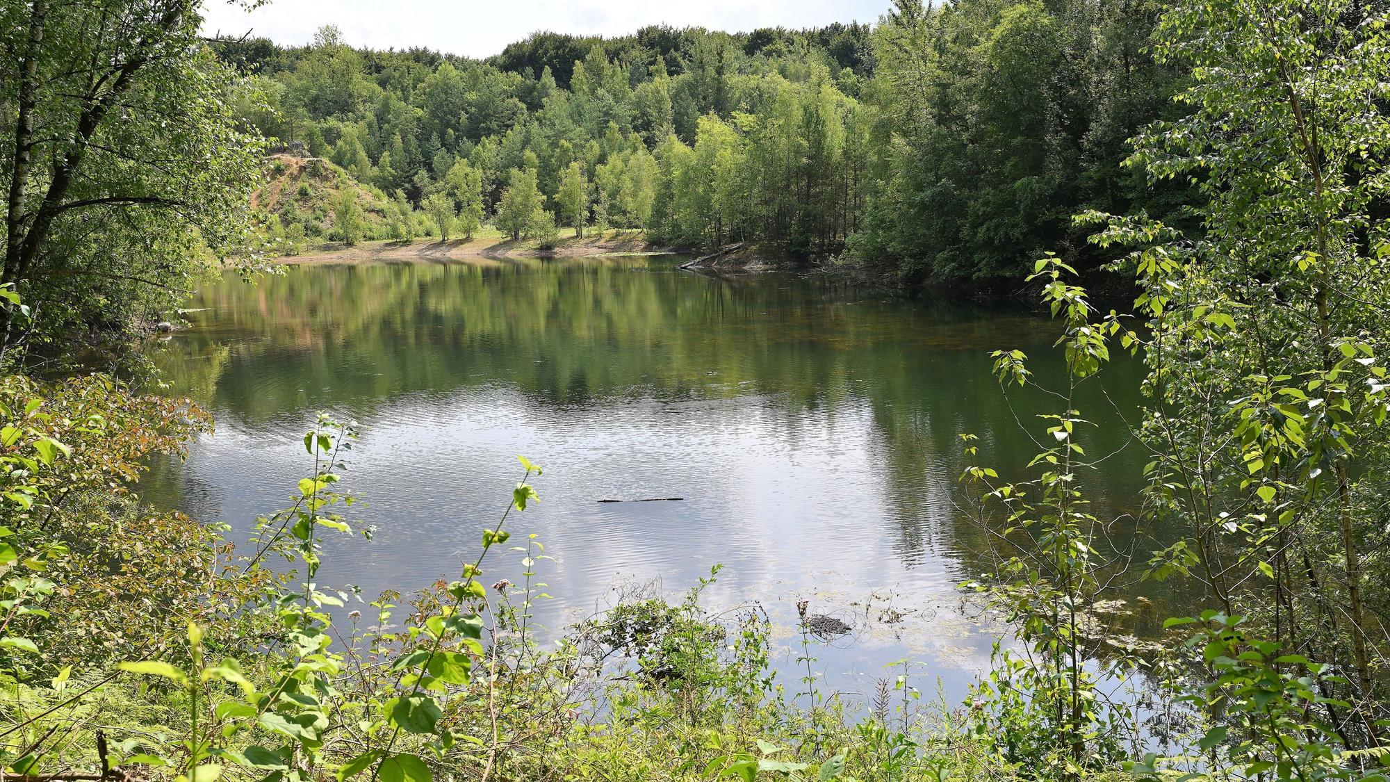 Blick auf das Naturschutzgebiet der Grube Cox.
