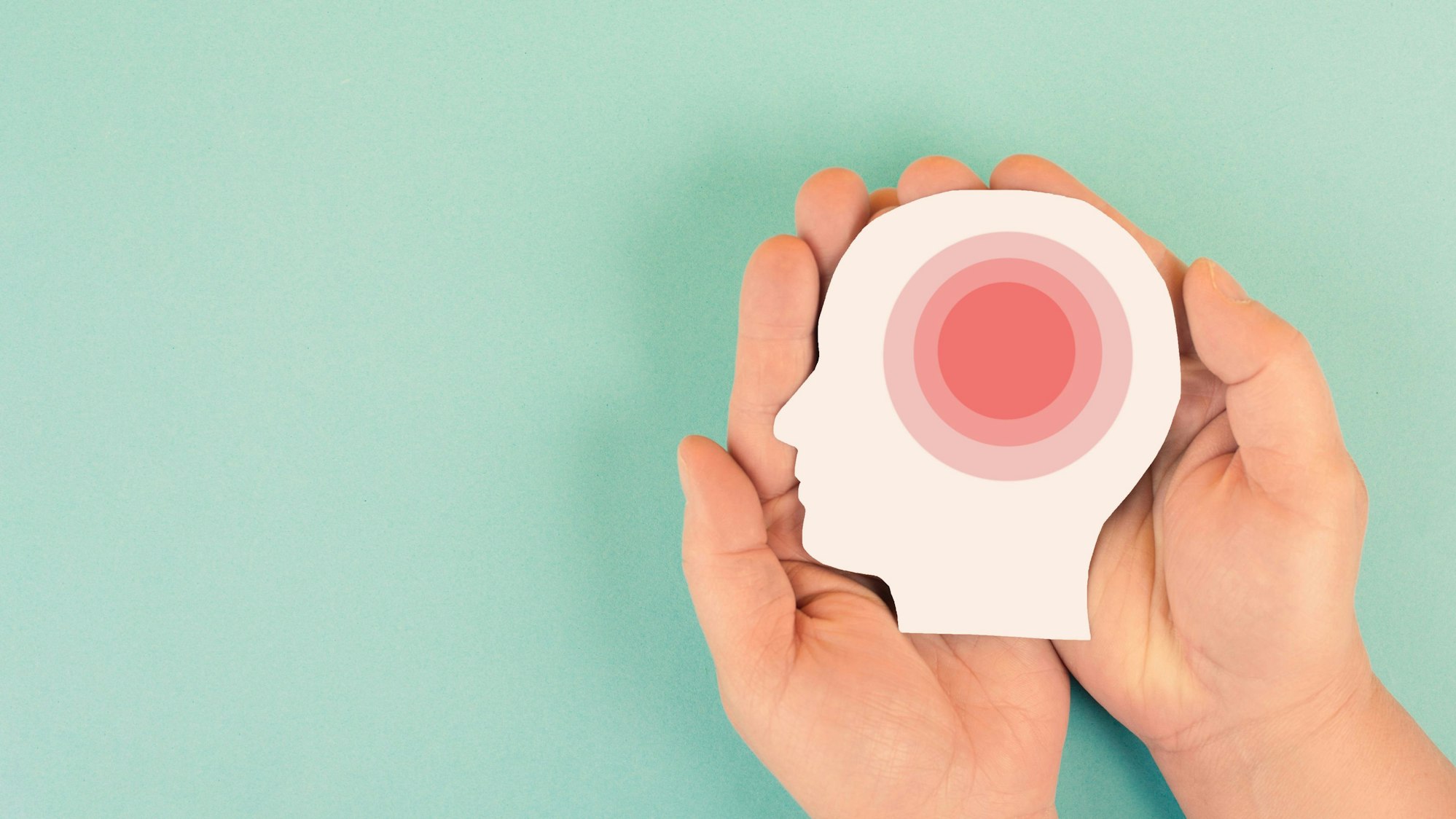 .Zwei Hände halten das Modell eines Kopfes, in dem ein dunkelroter Kreis zu sehen ist