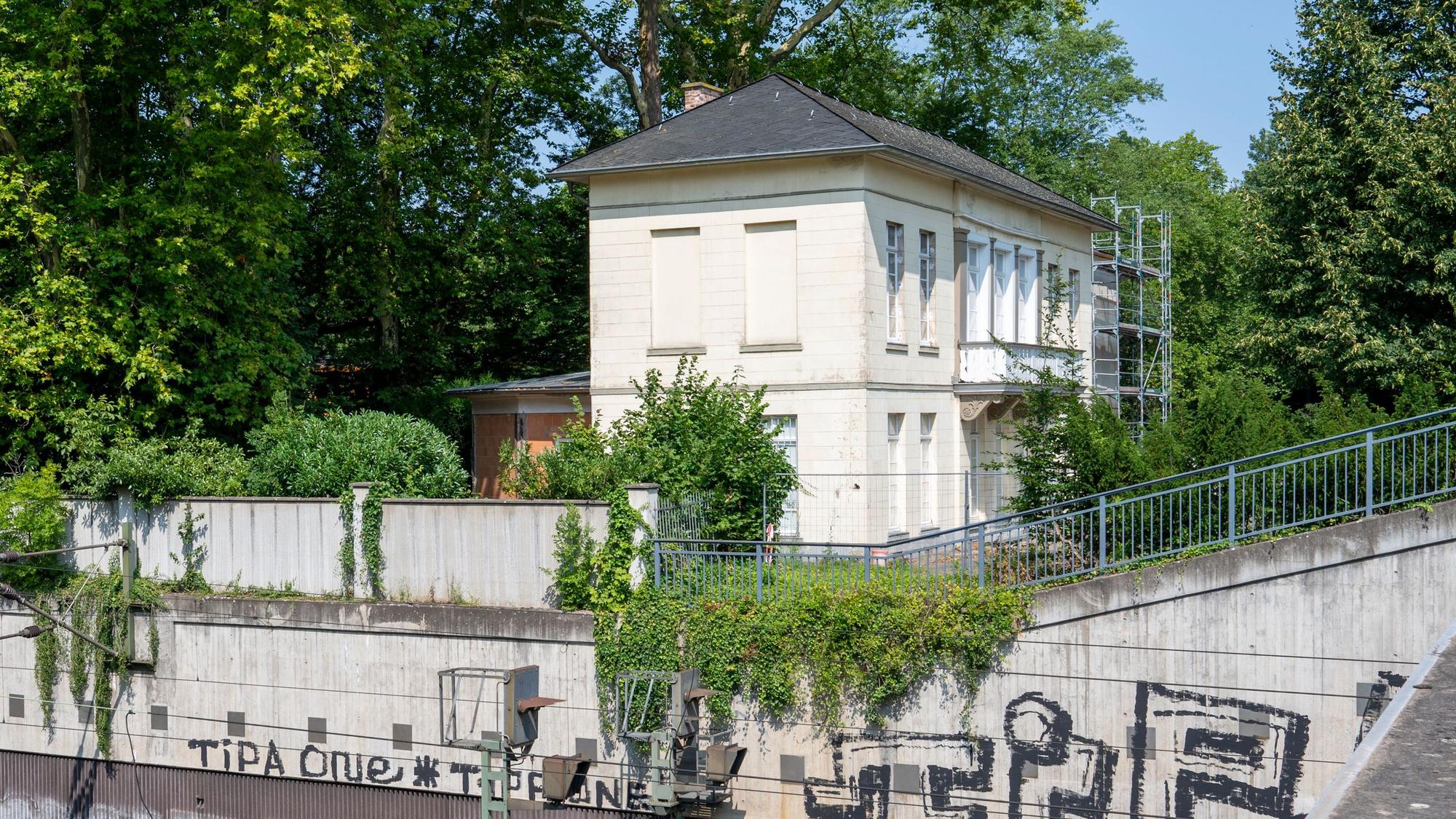 09.08.2025, Köln: Eine Platane am Bahnhof Belvedere gefährdet das denkmalgeschützte Gebäude. Um die Frage, ob der Baum gefällt werden darf, streiten sich die Behörden. Der Baum wächst dicht am Gebäude, seine Wurzeln reichen bis unter das Bauwerk. Foto: Uwe Weiser