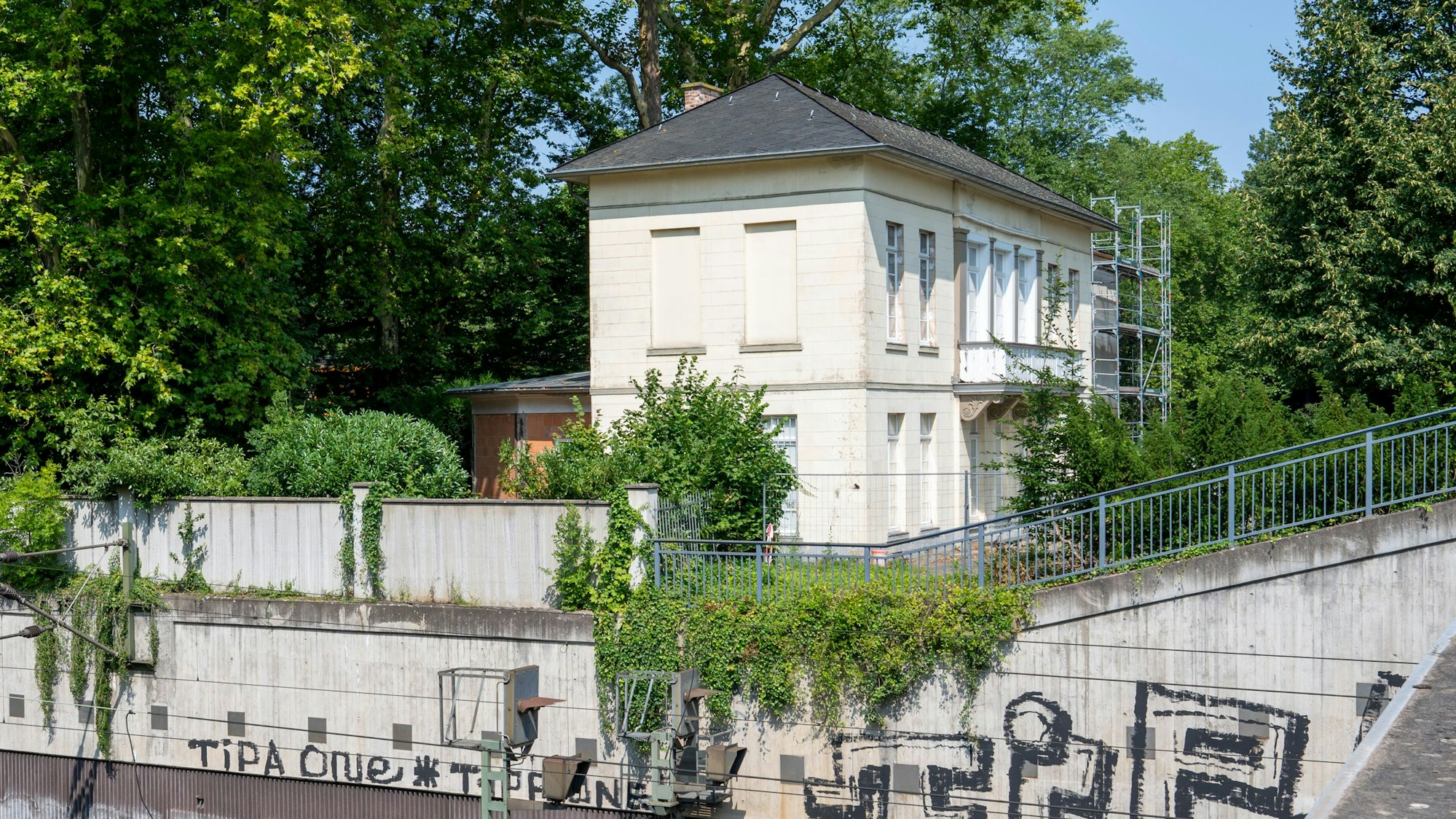 09.08.2025, Köln: Eine Platane am Bahnhof Belvedere gefährdet das denkmalgeschützte Gebäude. Um die Frage, ob der Baum gefällt werden darf, streiten sich die Behörden. Der Baum wächst dicht am Gebäude, seine Wurzeln reichen bis unter das Bauwerk. Foto: Uwe Weiser