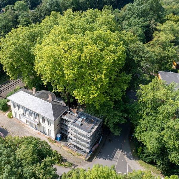 Der Bahnhof Belvedere und der Baum, der dicht am Gebäude wächst, aus der Vogelperspektive.